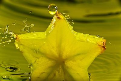 Photographic Print, , small