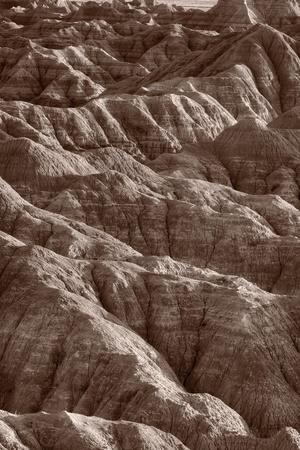 Photographic Print, , small