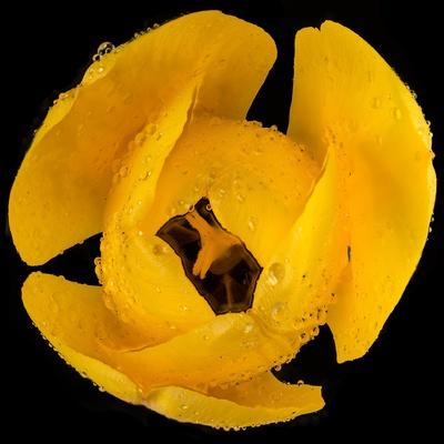 Photographic Print, , small