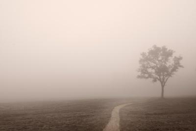 Photographic Print, , small