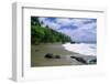 Jungle at the Shore, Costa Rica-George Oze-Framed Photographic Print