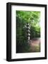 Path of Meditation-George Oze-Framed Photographic Print