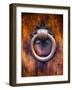 Antique Door Knocker In Florence-George Oze-Framed Photographic Print