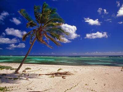 Photographic Print, , small