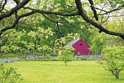 Photographic Print, , small