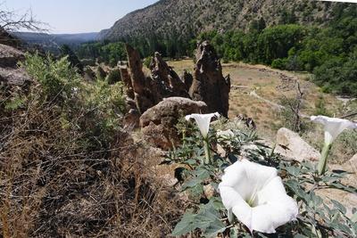 Photographic Print, , small