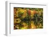 Colorful Foliage Reflection in a Tranquil Lake-George Oze-Framed Photographic Print