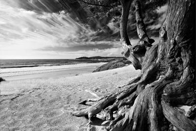 Photographic Print, , small
