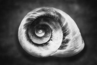 Photographic Print, , small