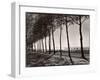 Tree Lined Street Along the Shore of Beautiful Shores of Lake Balaton-Margaret Bourke-White-Framed Photographic Print