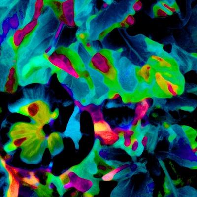 Art Print, , small