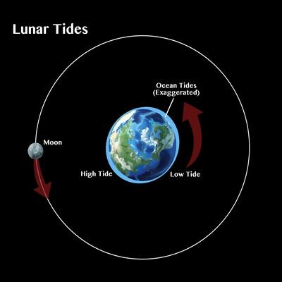 Giclee Print, , small