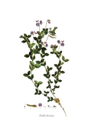 Giclee Print, , small