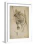 Goblin Sumi Underdrawing on Paper-Yoshitoshi Tsukioka-Framed Giclee Print