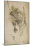 Goblin Sumi Underdrawing on Paper-Yoshitoshi Tsukioka-Mounted Giclee Print
