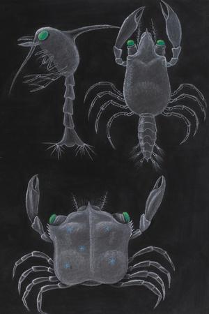 Giclee Print, , small