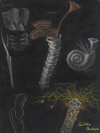 Giclee Print, , small
