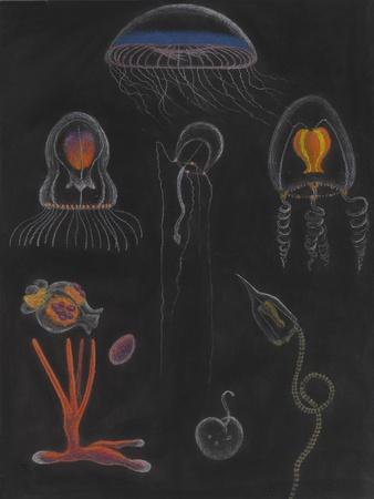 Giclee Print, , small