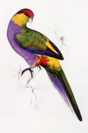 Giclee Print, , small