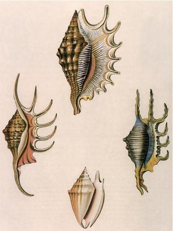 Giclee Print, , small