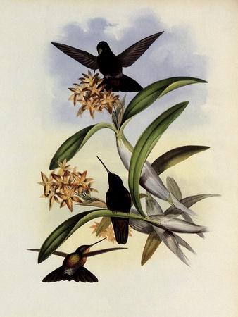 Giclee Print, , small