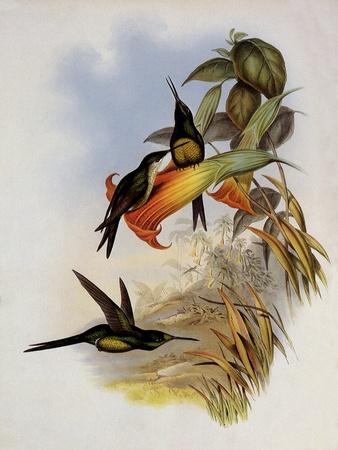 Giclee Print, , small