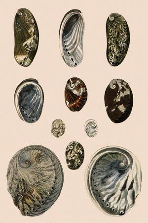 Giclee Print, , small