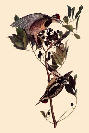 Giclee Print, , small