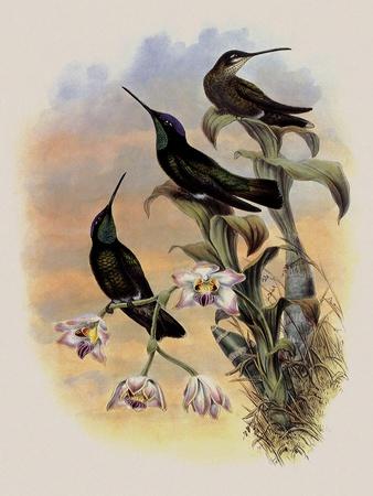 Giclee Print, , small