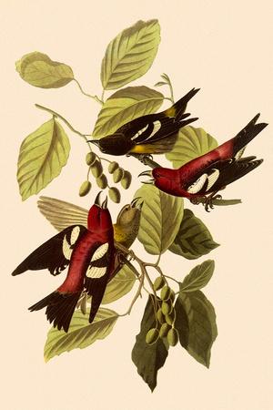 Giclee Print, , small