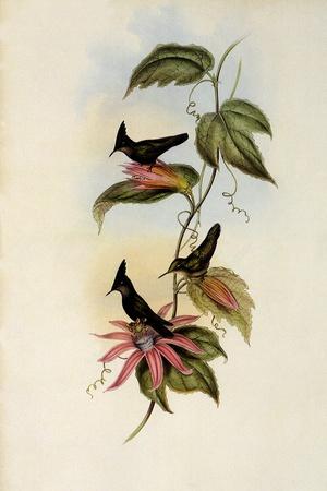 Giclee Print, , small