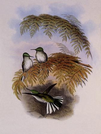 Giclee Print, , small