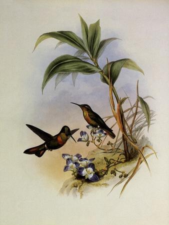 Giclee Print, , small