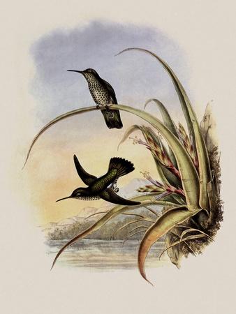 Giclee Print, , small