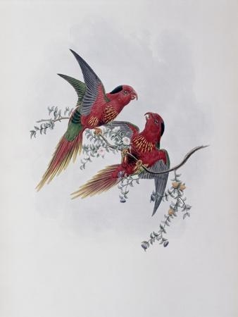 Giclee Print, , small