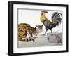 Aesop: Cat, Cock, and Mouse-Milo Winter-Framed Giclee Print