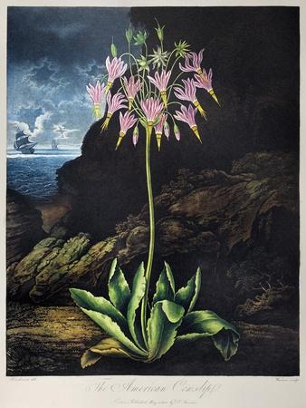 Giclee Print, , small