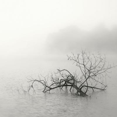 Photographic Print, , small