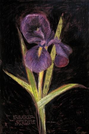 Art Print, , small