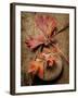 Quiet Nature Fall Collection 4-Julie Greenwood-Framed Premium Giclee Print