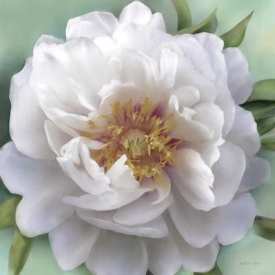 Art Print, , small