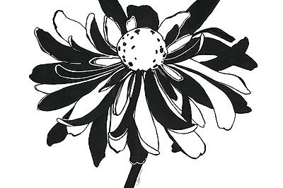Art Print, , small