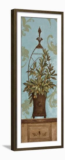 Blue Olive Topiary II-Pamela Gladding-Framed Premium Giclee Print