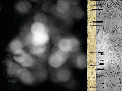 Photographic Print, , small