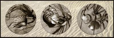 Photographic Print, , small