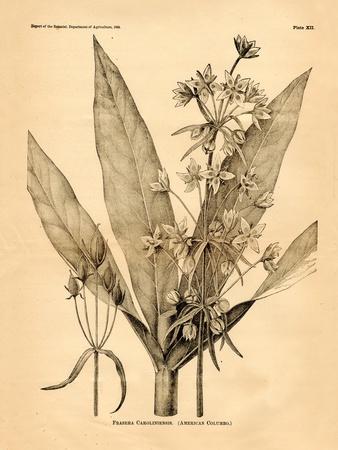 Art Print, , small