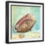 Marine Life Motif V-Gregory Gorham-Framed Art Print