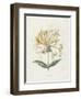 Honeysuckle-Gwendolyn Babbitt-Framed Art Print