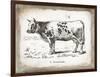 French Cow IV-Gwendolyn Babbitt-Framed Art Print