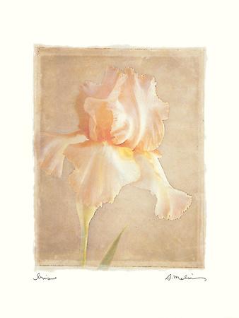 Art Print, , small